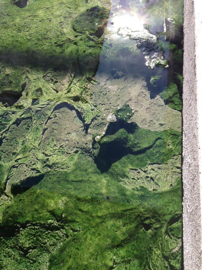 Hotel Terme Principe Abano Terme Bagian luar foto