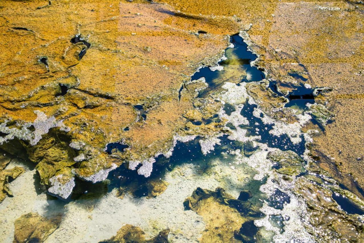 Hotel Terme Principe Abano Terme Bagian luar foto